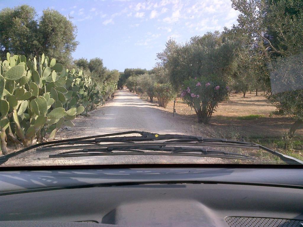 Masseria Asciano Ostuni Habitación foto